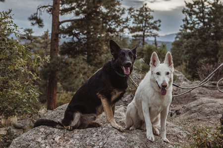 Westin & Kilo