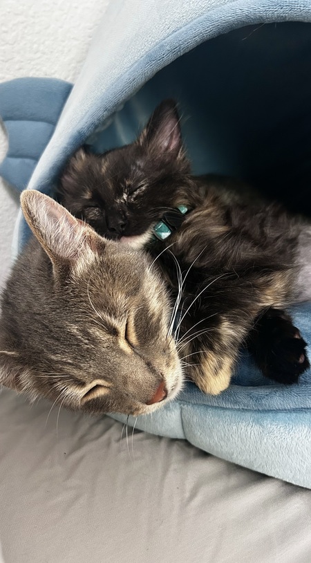 Boo & Kopi