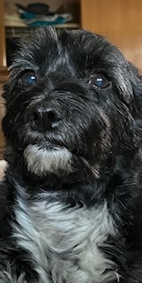 Rosie