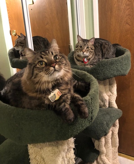 Snickers & Monte
