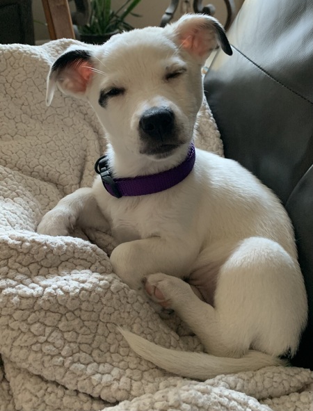 Entry image for Ariel Beckman Heskett. Clicking this image will show a larger photo