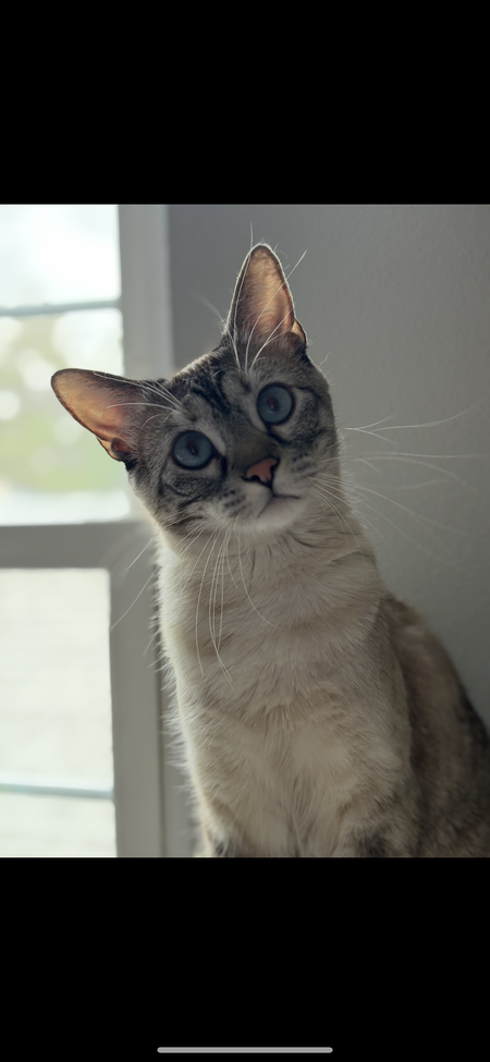 Valentina 