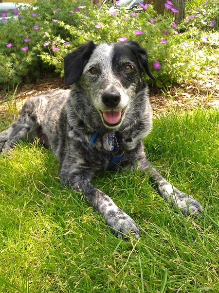 Entry image for Avery. Clicking this image will show a larger photo