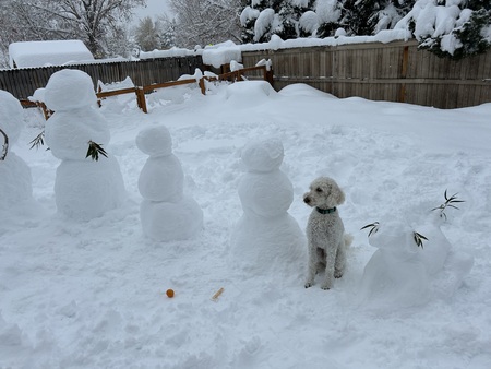 Entry image for Tiny Diamond. Clicking this image will show a larger photo