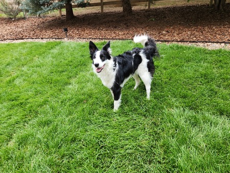 Entry image for Winter. Clicking this image will show a larger photo