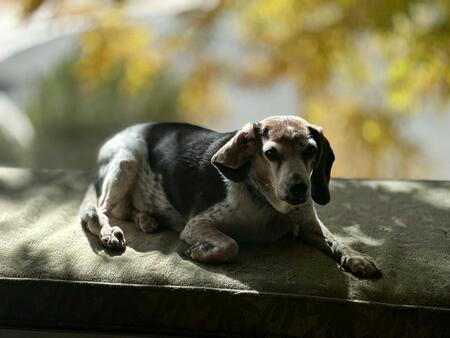 Entry image for Flash. Clicking this image will show a larger photo