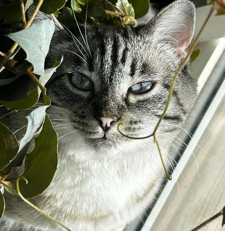 Entry image for Chrissy. Clicking this image will show a larger photo