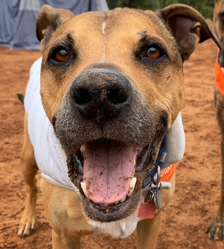 Entry image for Charlie. Clicking this image will show a larger photo