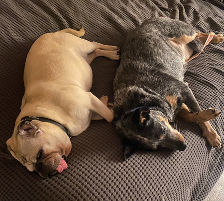 Entry image for Suki and Betty. Clicking this image will show a larger photo