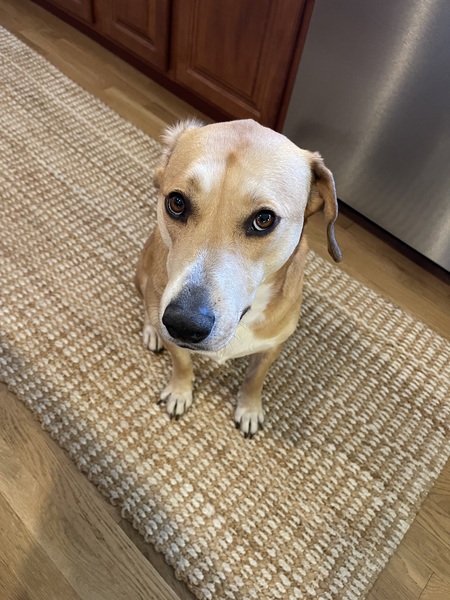 Entry image for Jolene. Clicking this image will show a larger photo