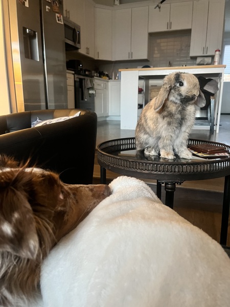 Gryff and Dale