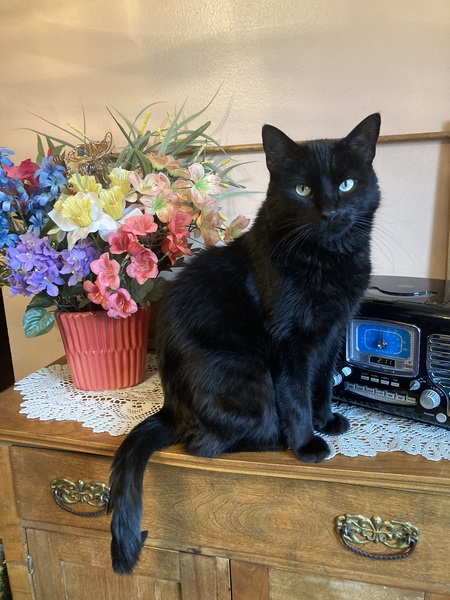 Entry image for Fabian. Clicking this image will show a larger photo