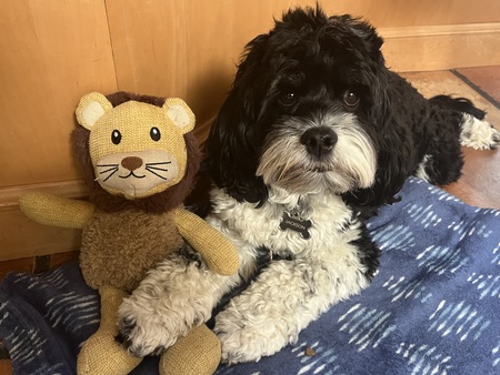 Entry image for Jackson . Clicking this image will show a larger photo