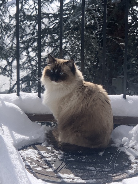 Entry image for Olivia. Clicking this image will show a larger photo