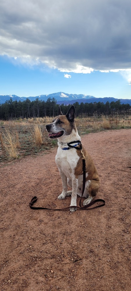 Entry image for Max. Clicking this image will show a larger photo