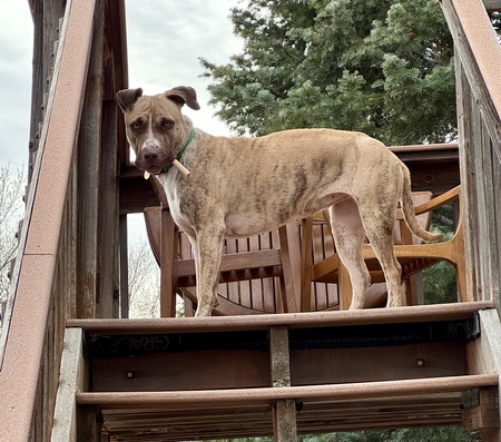 Entry image for Galway. Clicking this image will show a larger photo