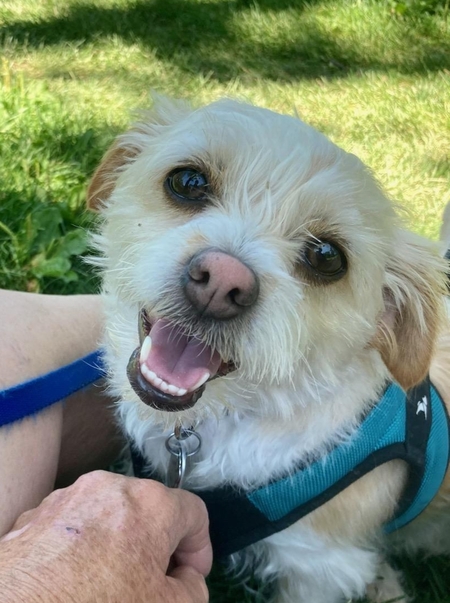 Entry image for Squish. Clicking this image will show a larger photo