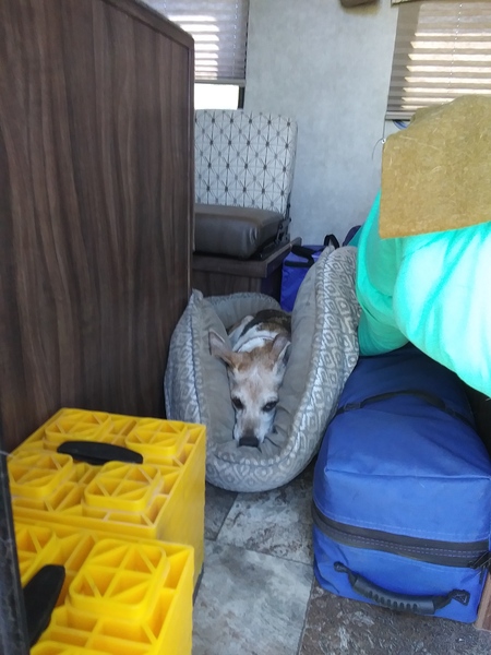 Entry image for Niko. Clicking this image will show a larger photo