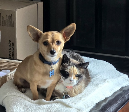 Entry image for Baby & Paco. Clicking this image will show a larger photo