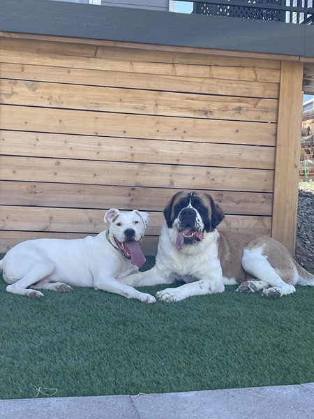 Entry image for Blake Street & Benny Benito Blanco. Clicking this image will show a larger photo