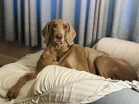 Entry image for Trout . Clicking this image will show a larger photo