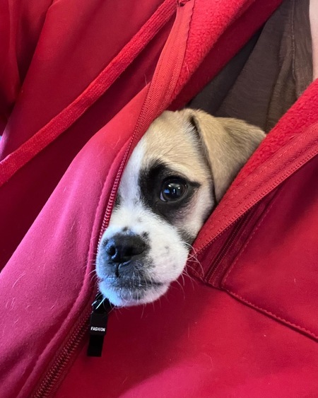 Entry image for Wilford Brimley . Clicking this image will show a larger photo