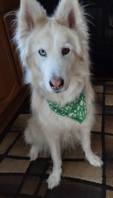 Entry image for Max. Clicking this image will show a larger photo