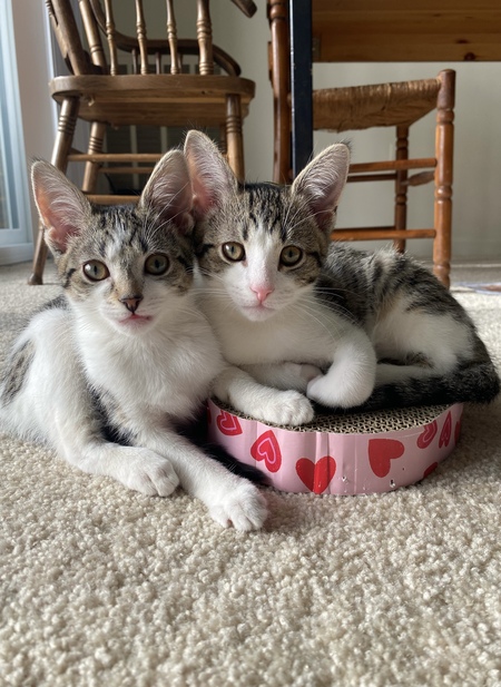 Entry image for Barley & Hops. Clicking this image will show a larger photo