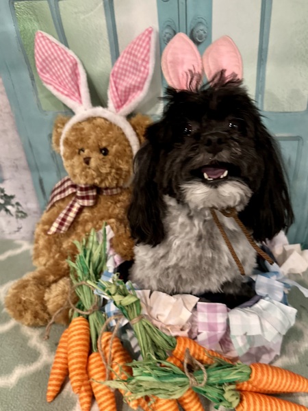 Entry image for Dakini. Clicking this image will show a larger photo