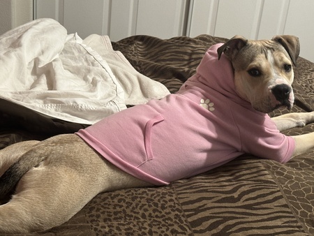 Entry image for Eliana. Clicking this image will show a larger photo