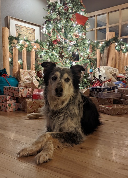 Entry image for Quigley. Clicking this image will show a larger photo