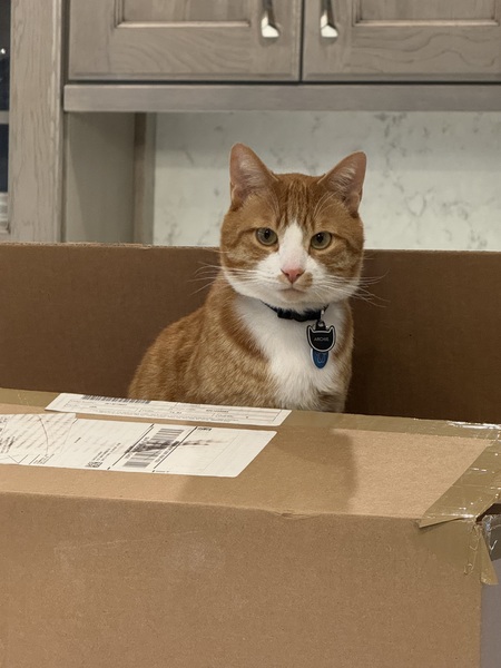 Archie