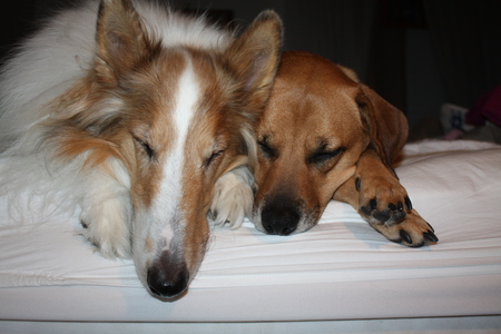 Entry image for River & Luke. Clicking this image will show a larger photo