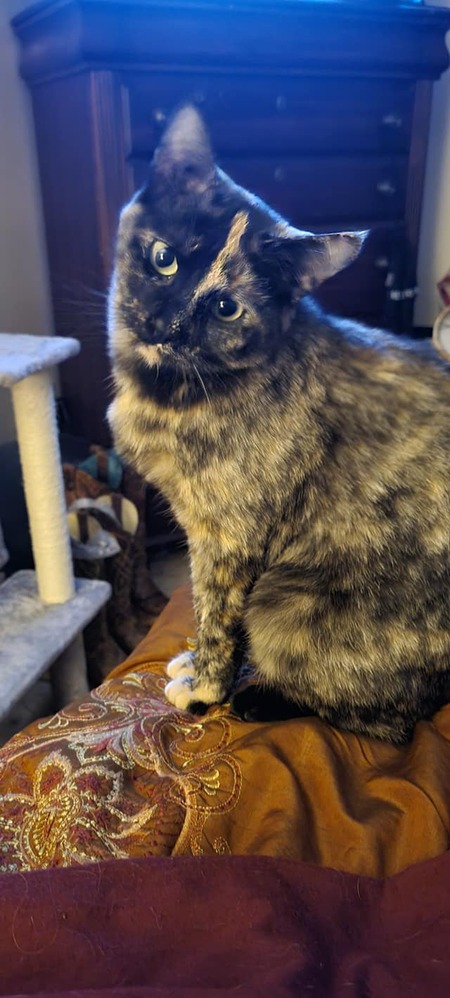 Entry image for Katya. Clicking this image will show a larger photo