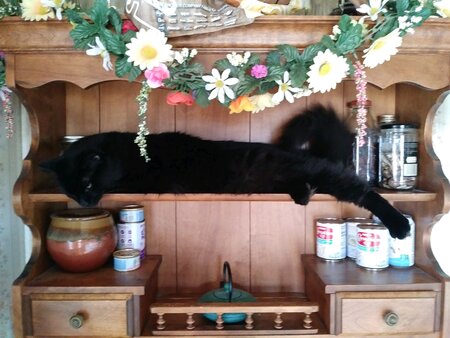 Entry image for Danzig Ruble. Clicking this image will show a larger photo