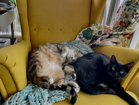 Entry image for Moose and Leslie. Clicking this image will show a larger photo