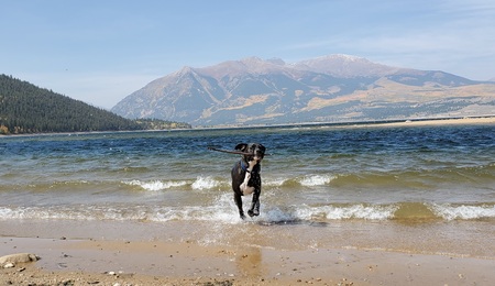 Entry image for Rocker. Clicking this image will show a larger photo