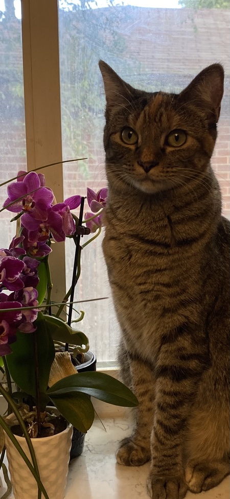 Entry image for Hazel Louise . Clicking this image will show a larger photo