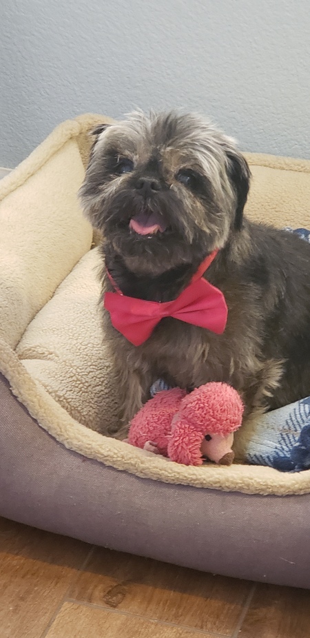 Entry image for Claire. Clicking this image will show a larger photo