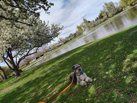 Entry image for Hope. Clicking this image will show a larger photo