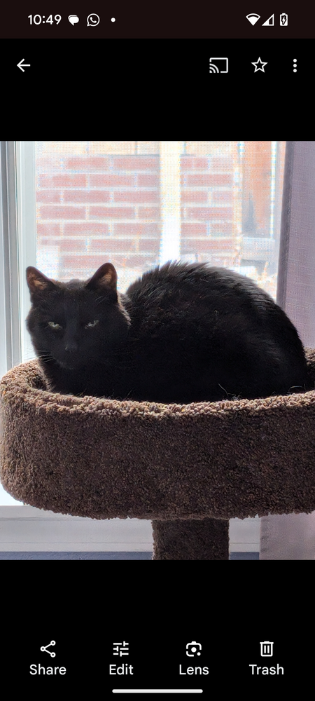 Entry image for Tofu. Clicking this image will show a larger photo