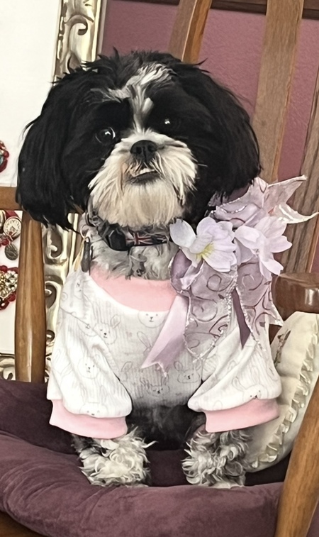 Lilibet 