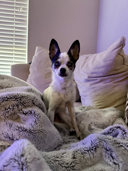 Coco