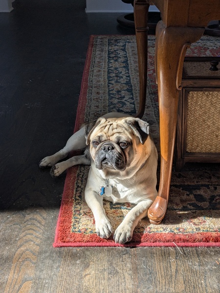 Winston