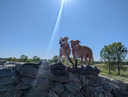 Miss Amber & Lacey Mae
