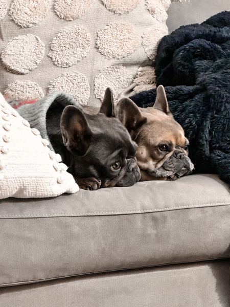 Rooney & Eloise