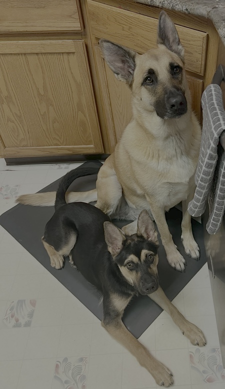 Honey & Cash