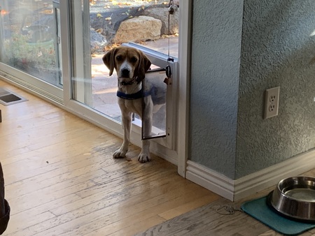 Milo