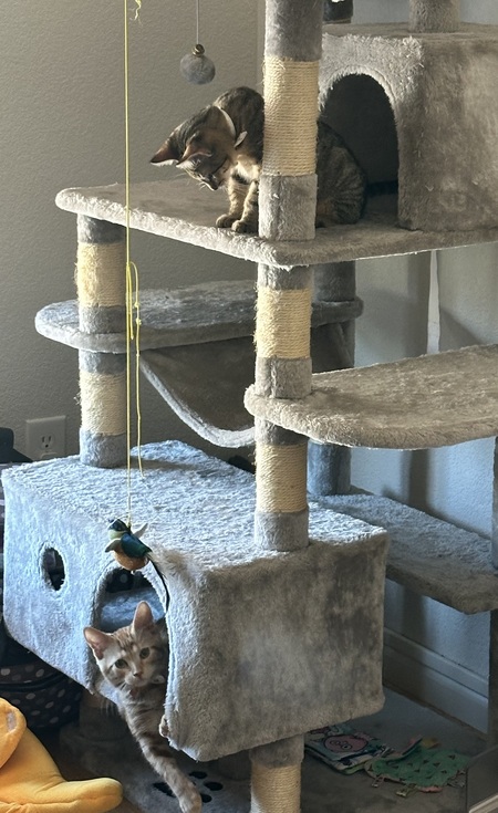 Jasper and Arnold