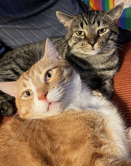 Pumpkin & Milo